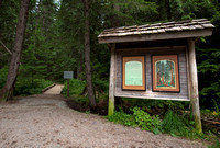 Ross Creek Cedars