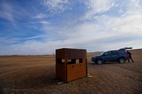 Prairie Chickens